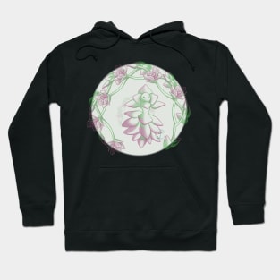 Succulent Sprite - anacampseros sunrise Hoodie